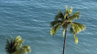 社会科プラス：大人・教員のための社会科サイト